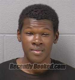 Mugshot of AAREON D NEWELL booked in Will County, Illinois on March 24, 2026