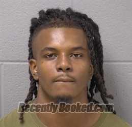 Mugshot of DONNELL L BROWN booked in Will County, Illinois on April 28, 2026