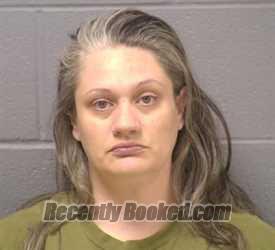 Booking photo from Will County, Illinois