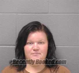 Booking photo from Will County, Illinois