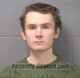 Mugshot of ANDREW J STECKO booked in Will County, Illinois on July 13, 2026
