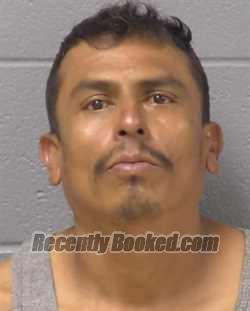 Mugshot of Antonio E Cruz booked in Will County, Illinois on September 4, 2026