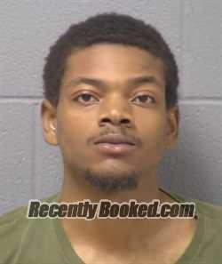 Mugshot of Deahzion L Nesbitt booked in Will County, Illinois on August 28, 2026