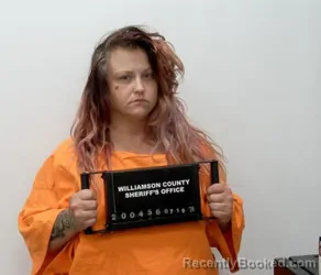 Booking photo from Williamson County, Illinois