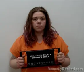 Mugshot of CHRISTINE MARIE WILLIAMS booked in Williamson County, Illinois on March 21, 2026
