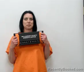 Mugshot of AMBER ROSE KNIPE booked in Williamson County, Illinois on March 25, 2026