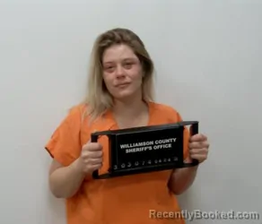 Mugshot of DIANE RENEE MENEESE booked in Williamson County, Illinois on April 4, 2026