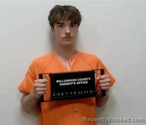 Mugshot of TRENTON REED BORDERS booked in Williamson County, Illinois on March 24, 2026