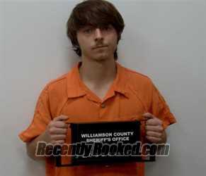 Booking photo from Williamson County, Illinois