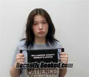 Booking photo from Williamson County, Illinois