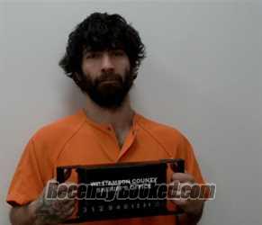 Booking photo from Williamson County, Illinois