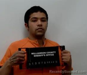 Booking photo from Williamson County, Illinois