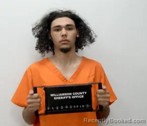 Mugshot of ISAIAH A WARD booked in Williamson County, Illinois on March 16, 2026