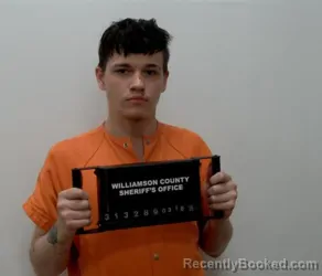 Booking photo from Williamson County, Illinois