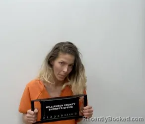 Mugshot of MEGAN N WILLIAMS booked in Williamson County, Illinois on March 29, 2026