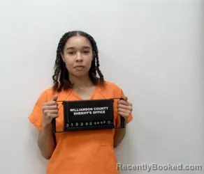 Booking photo from Williamson County, Illinois