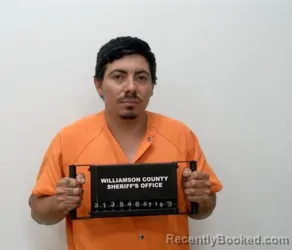 Booking photo from Williamson County, Illinois