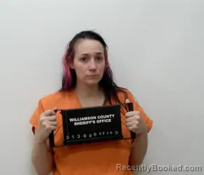 Booking photo from Williamson County, Illinois