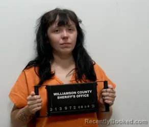 Mugshot of JILLIAN H JANES booked in Williamson County, Illinois on August 4, 2026