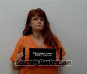 Mugshot of AMY LYNN OAKLEY booked in Williamson County, Illinois on April 30, 2026