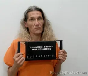 Mugshot of Misty D Holland booked in Williamson County, Illinois on September 11, 2026