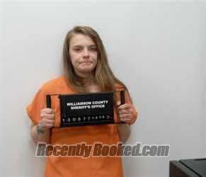 Booking photo from Williamson County, Illinois