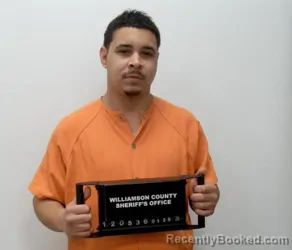 Booking photo from Williamson County, Illinois