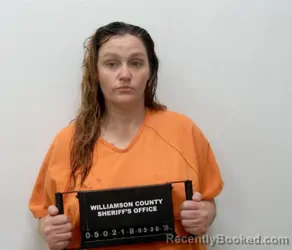 Mugshot of BRITTANY NICOLE STROUD booked in Williamson County, Illinois on March 30, 2026