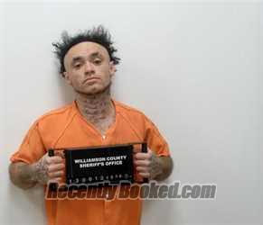 Booking photo from Williamson County, Illinois