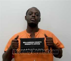 Booking photo from Williamson County, Illinois