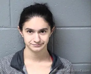 Booking photo from Woodford County, Illinois