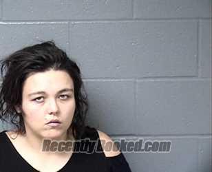 Booking photo from Woodford County, Illinois