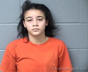 Mugshot of KAYLYNN E TIPTON
