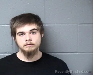 Mugshot of LOGAIN S MCDANIEL