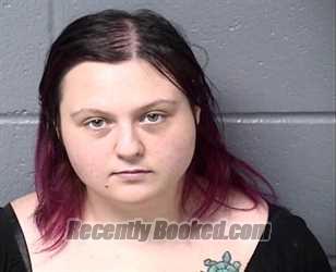 Booking photo from Woodford County, Illinois