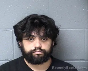 Booking photo from Woodford County, Illinois