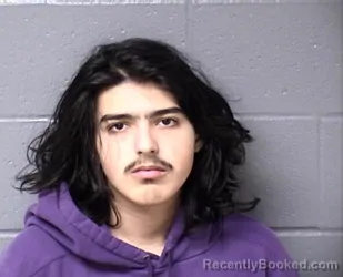 Booking photo from Woodford County, Illinois