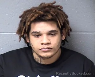 Mugshot of TERRENCE J MARSHALL