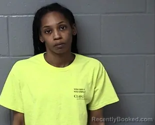 Mugshot of SADONNA D HILL booked in Woodford County, Illinois on April 24, 2026