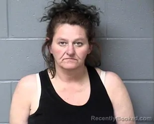 Mugshot of LEE ANN WILLIAMS booked in Woodford County, Illinois on April 28, 2026