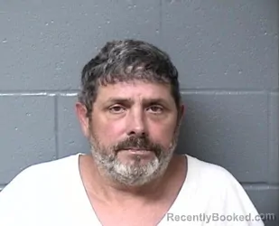 Mugshot of JERRY L COLLINS booked in Woodford County, Illinois on July 8, 2026