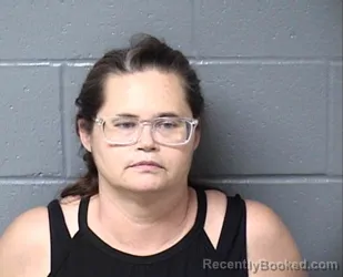 Mugshot of NICHOLE A HOGSETT booked in Woodford County, Illinois on July 9, 2026