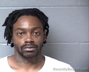 Mugshot of STEVEN WILCOX booked in Woodford County, Illinois on July 11, 2026