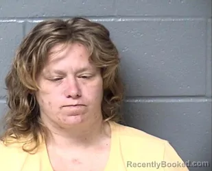 Mugshot of BRANDI L GRISHAM booked in Woodford County, Illinois on July 12, 2026