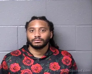 Mugshot of MICHAEL S DOUGLAS booked in Woodford County, Illinois on July 30, 2026