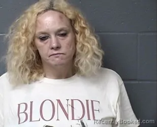 Mugshot of Jerri L Mcintyre booked in Woodford County, Illinois on September 4, 2026
