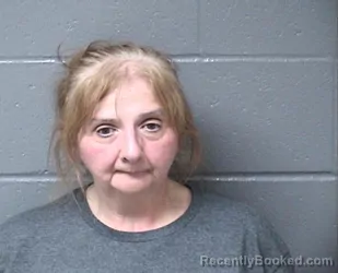 Mugshot of Diane J Fountain booked in Woodford County, Illinois on October 17, 2026