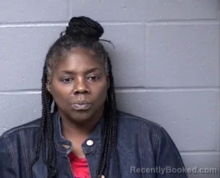 Mugshot of Nicole R Johnson booked in Woodford County, Illinois on October 29, 2026