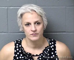 Mugshot of SARAH N BOYLE