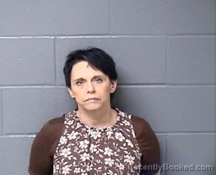 Mugshot of Leslie R Meeks booked in Woodford County, Illinois on August 28, 2026